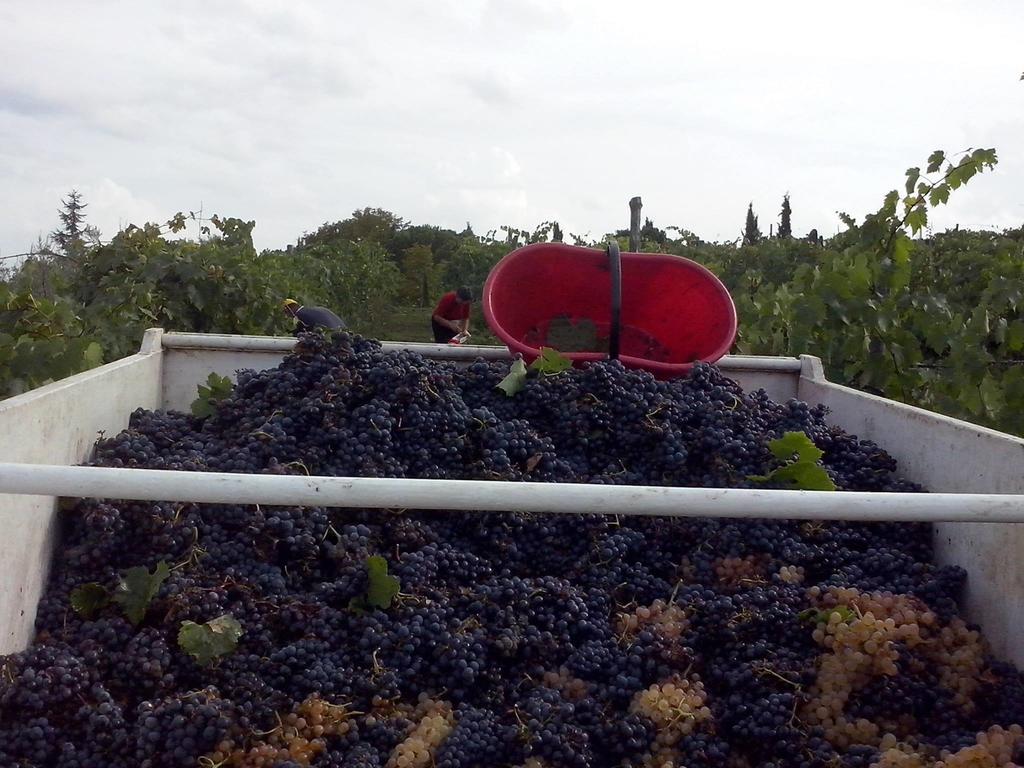 Agriturismo La Querce Rignano sullʼArno Cameră foto