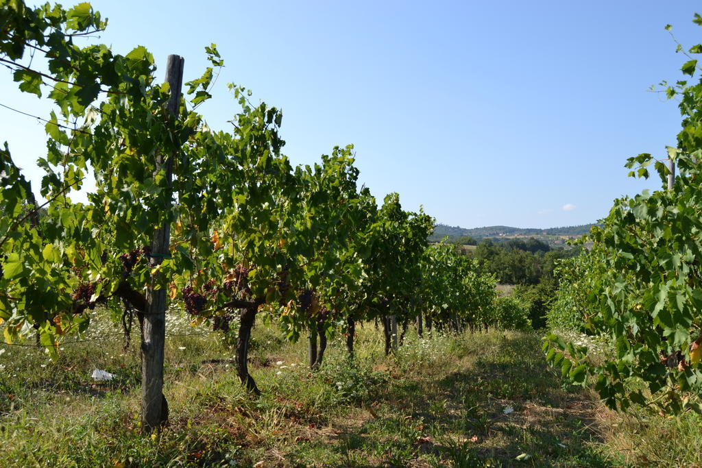 Agriturismo La Querce Rignano sullʼArno Exterior foto